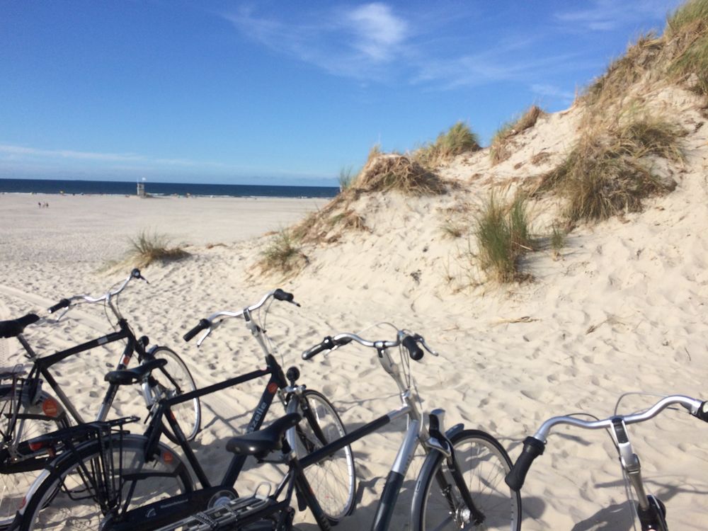 Fahrrad-Tour an den Strand von West aan Zee im Nordwesten von Terschelling. (Foto: Giulia Bachmann)