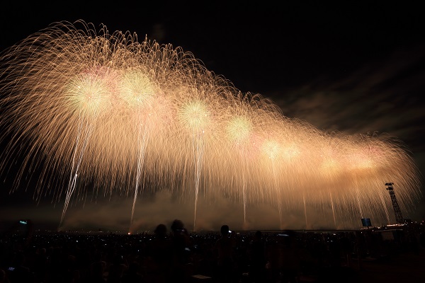 Heute Nacht erhellen wieder viele, viele Feuerwerke die Nacht, um das neue Jahr zu begrüßen (Foto: Katzuend, Unsplash).