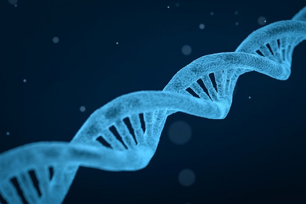 Die Forscherin nimmt DNA aus der Umwelt, die eine Bauanleitung für ein bestimmtes Enzym enthält. Dann erzeugt sie in der DNA-Sequenz zufällige Mutationen – und testet danach, welche Mutation zu einem Enzym führt, das für ihre Zwecke am besten genutzt werden kann. (Foto: DNA von qimono via pixabay, CC0)