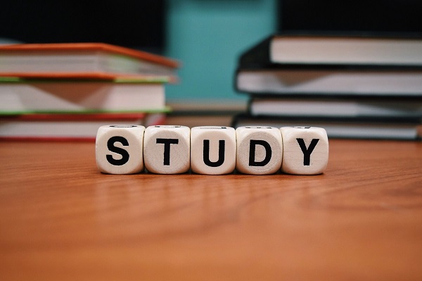 Viele träumen davon, zu studieren, wollen aber gleichzeitig Geld verdienen. Das duale Studium verbindet beides (Foto: Wokandapix, pixabay, CC0).