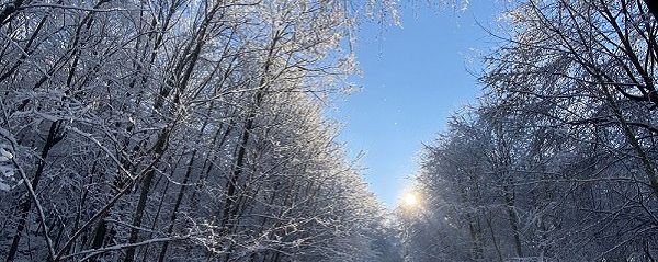 Der Winter mit seiner weißen Pracht hat schöne Seiten, doch die Wintermüdigkeit gehört leider nicht dazu. Es gibt einige Gründe dafür, denen man entgegen wirken kann. (Foto: Marburger)