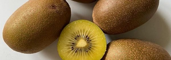 Obst, insbesondere Beeren, wie Brombeeren und Himbeeren, Bananen und Kiwis sind gute Lieferanten von Magnesium. (Foto: Amelie Marburger)