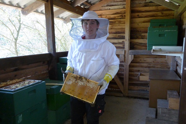 Sebastian Müller mit einem seiner Bienenvölker. Bei seinem Hobby kann der Freizeit-Imker entspannen. Zurzeit macht er eine Ausbildung zum Industriekaufmann (Foto: Müller).