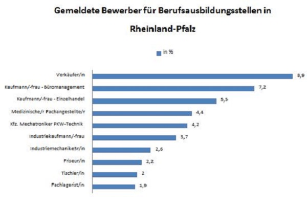 Der Ausbildungsstellenmarkt im Juli 2015 in Rheinland-Pfalz (Quelle: Bundesagentur für Arbeit).