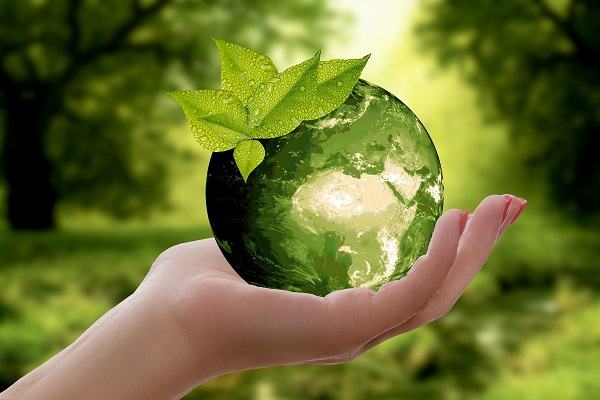 Nachhaltigkeit ist ein Leitbild für politisches, wirtschaftliches und ökologisches Handeln (Foto: annca, pixabay, CC0)