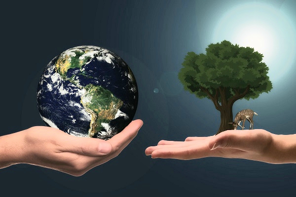 Wikipedia: Nachhaltigkeit ist ein Handlungsprinzip zur Ressourcen-Nutzung, bei dem eine dauerhafte Bedürfnisbefriedigung durch die Bewahrung der natürlichen Regenerationsfähigkeit der beteiligten Systeme gewährleistet werden soll (Foto: geralt, pixabay, CC0)