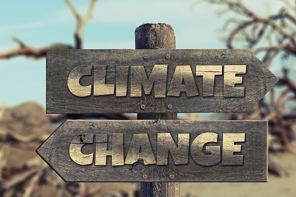 Im Kern bezeichnet der Klimawandel die Abkühlung oder Erwärmung des Klimas auf der Erde über einen langen Zeitraum (Foto: geralt, pixabay, CC0)