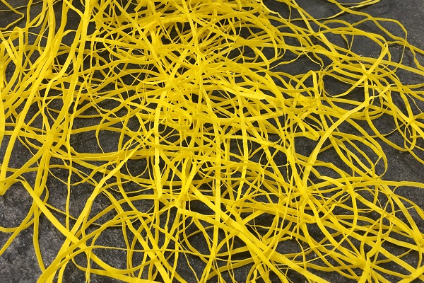 Auch in Gelb flog es durch die Luft. Diese haben mich an Spaghetti erinnert...(Foto: sl)